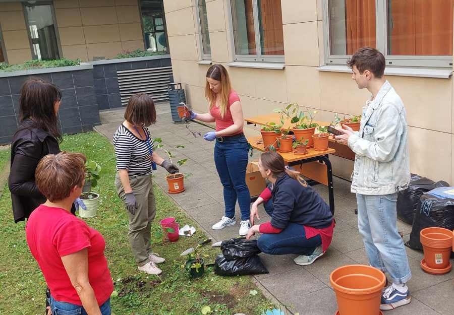 Budapesti Corvinus Egyetem